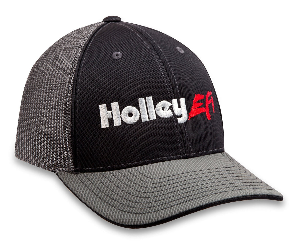 Holley EFI 10135-SMHOL image 2
