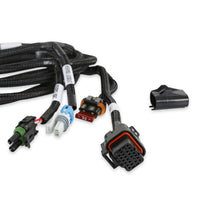 F-BODY T-56 TRANSMISSION HARNESS - Holley EFI Transmission Harness - T-56