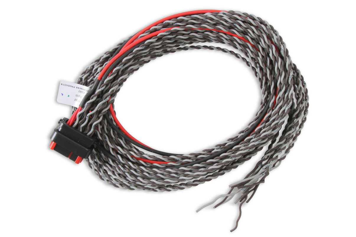 MSD Coil Harness - Pro 600 - Photo - Primary Front
