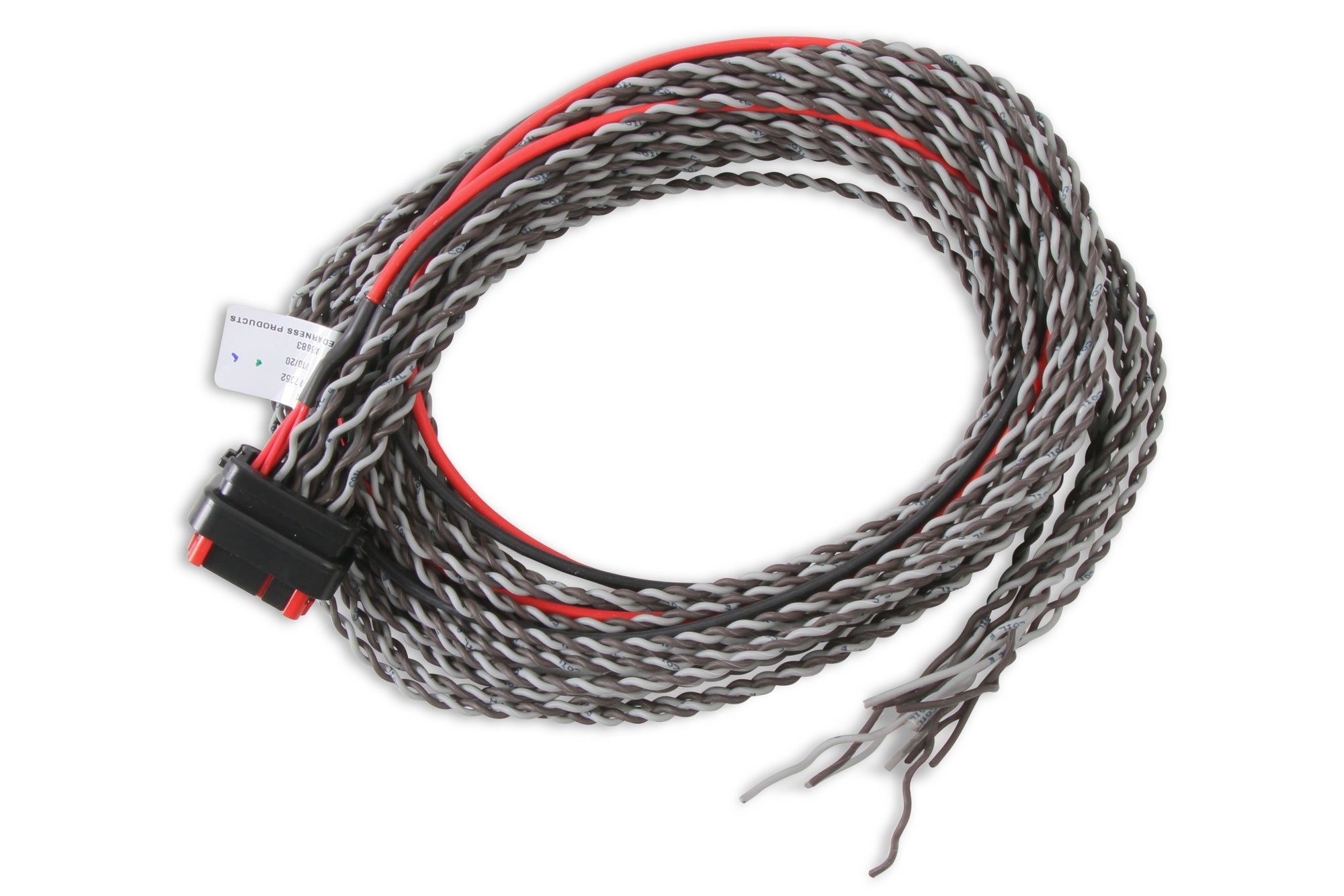 MSD Coil Harness - Pro 600 - Photo - Primary Front