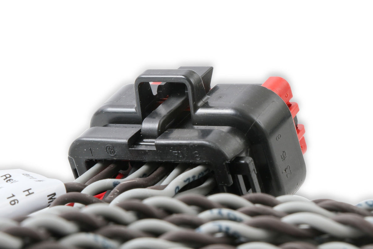 MSD Coil Harness - Pro 600 - Photo - out of package Back