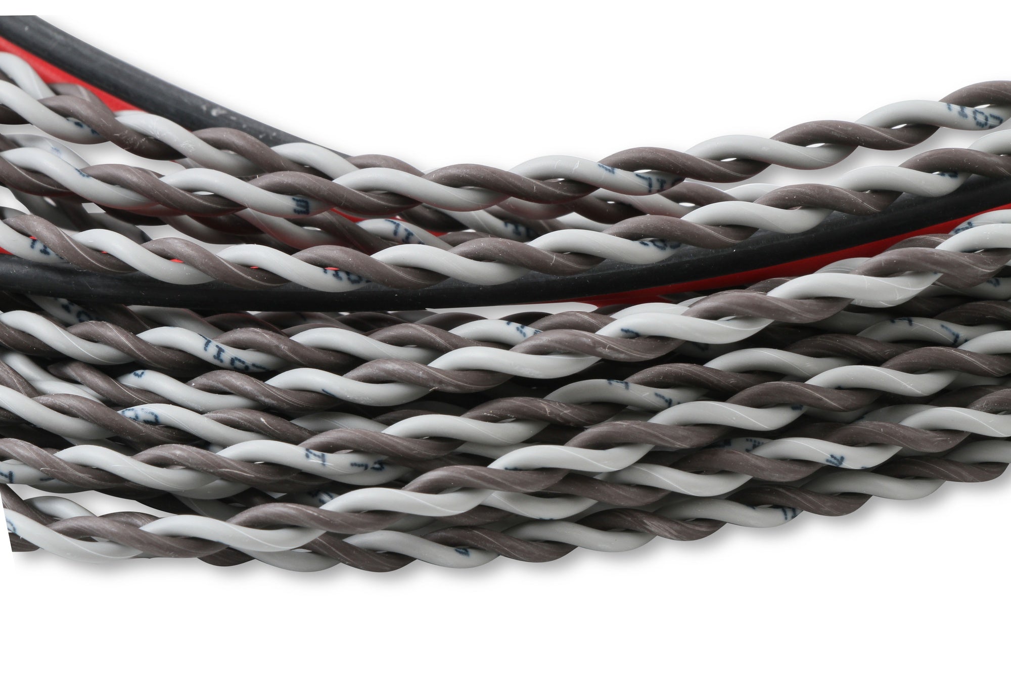 MSD Coil Harness - Pro 600 - Photo - out of package Top