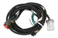 HARNESS,LS-INPUT,CAN,REPLACEMENT,800 - MSD EFI And LS Harness - Pro 600