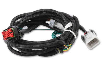 HARNESS,LS-INPUT,CAN,REPLACEMENT,800 - MSD EFI And LS Harness - Pro 600