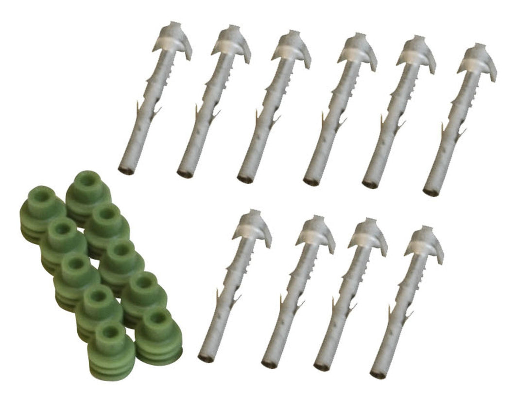 MSD Female Pins and Seals - Photo - Primary Front
