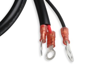 Distributeur MSD pour Ford FE, prêt à l'emploi, engrenages en acier.