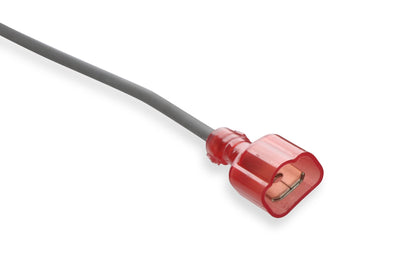 Distributeur MSD pour Ford FE, prêt à l'emploi, engrenages en acier.