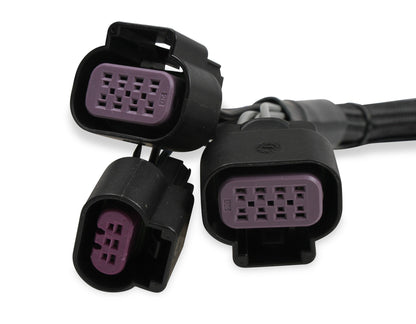 Limiteur de régime Ford Coyote 2-Step (modèles fabriqués après le 23/02/2016 et plus récents, sauf le 5.0L à injection directe).