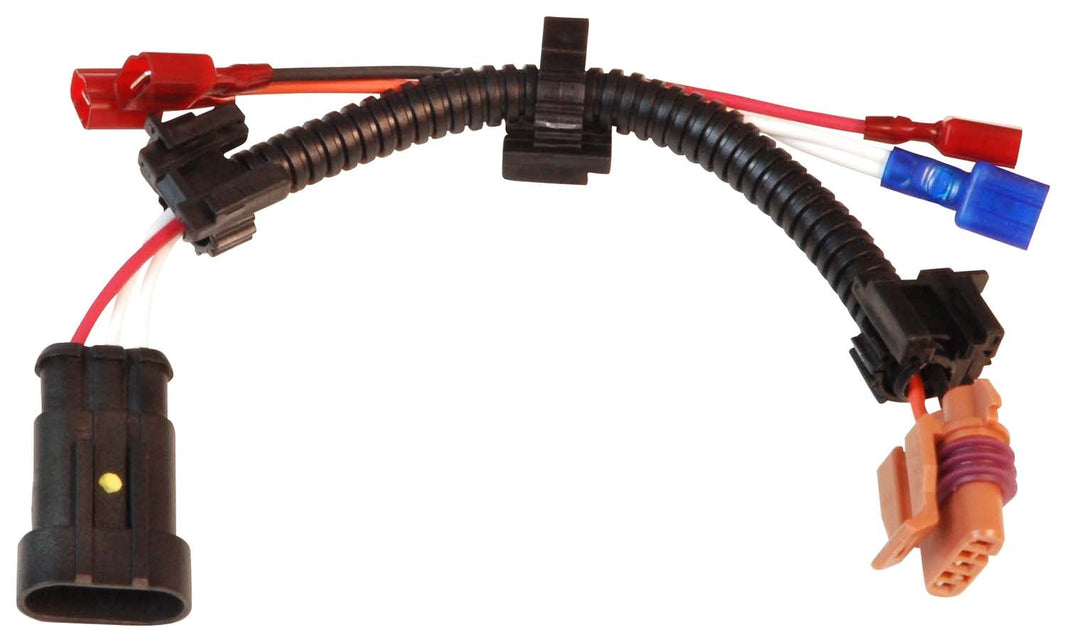 Harness, MSD To Late Model '96-On GMs - MSD to Late Model 96-On GM Harness