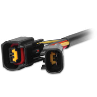 Harness, Ford 4.6L Modular to Dis-4 Ign - MSD DIS-4 to Ford 4.6L Modular Harness