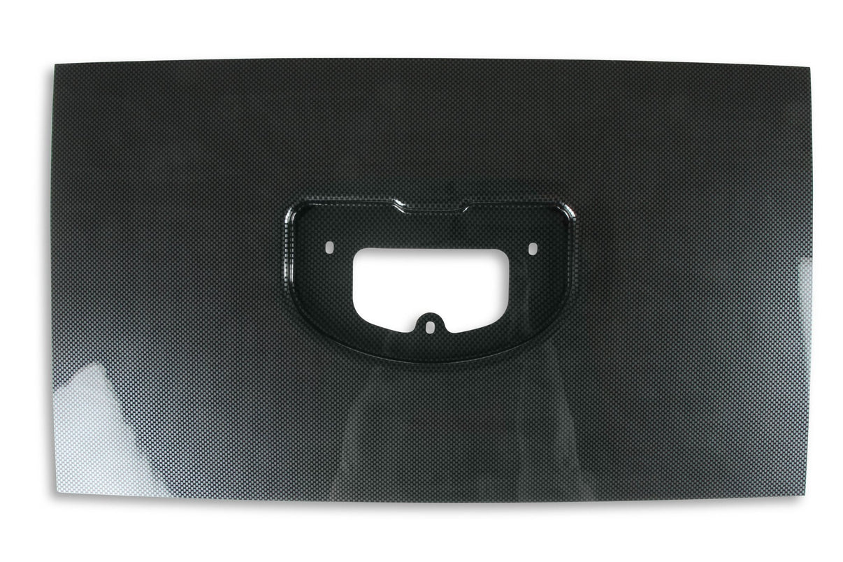 Holley EFI 553-355 primary image