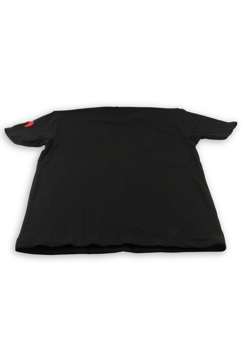 DINAN Premium Logo T-Shirt - Photo - out of package Back