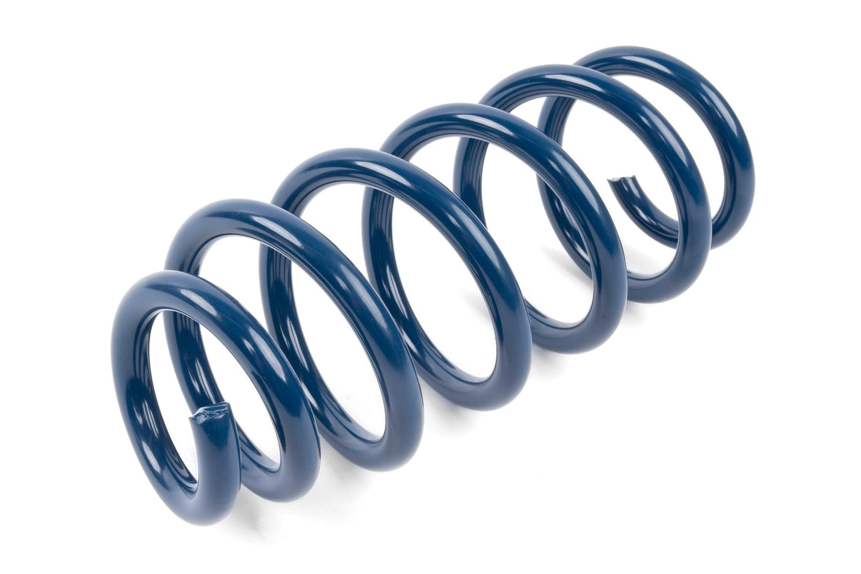 Dinan Performance Spring Set - 2018-2023 Tesla Model 3 - Photo - out of package Side