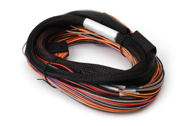 Haltech Flying Lead harness