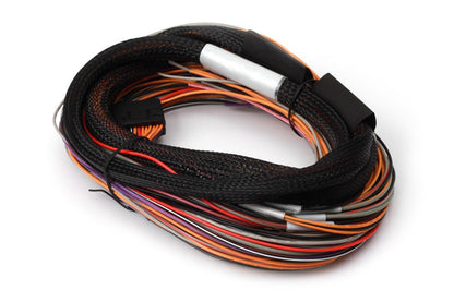Haltech Flying Lead harness