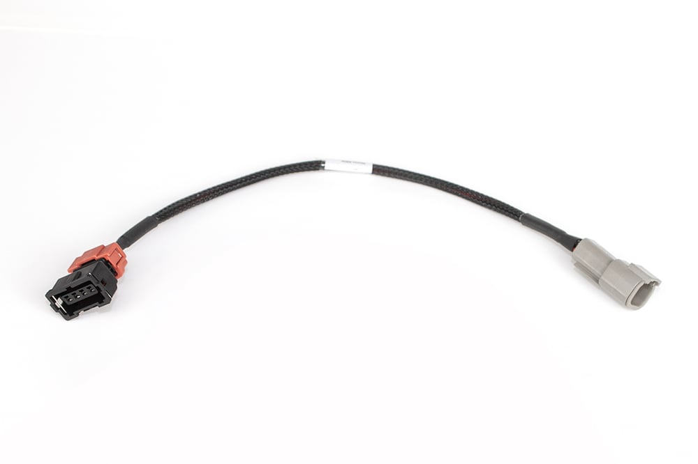 Haltech wiring harness