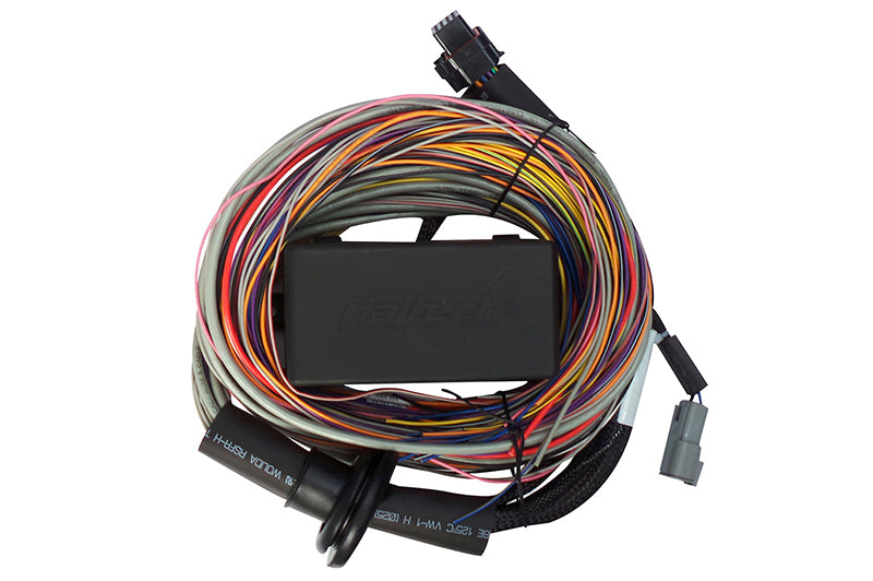 Haltech Elite 550 with wiring harness kit