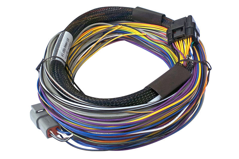 Haltech Elite 750 with wiring harness kit