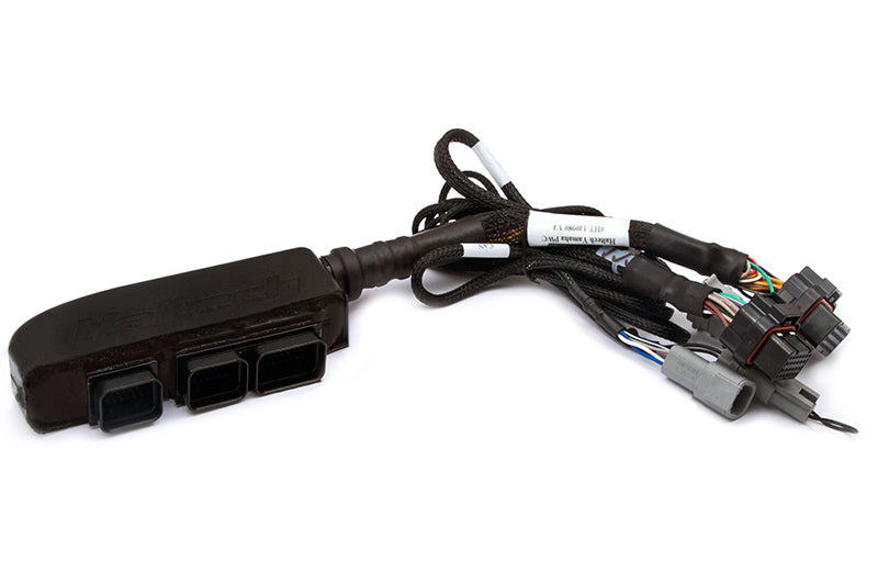Haltech Elite 1500 with wiring harness kit