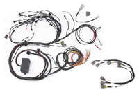 RB Twin CAM Main Harness, CAS Breakout, Late Ignition