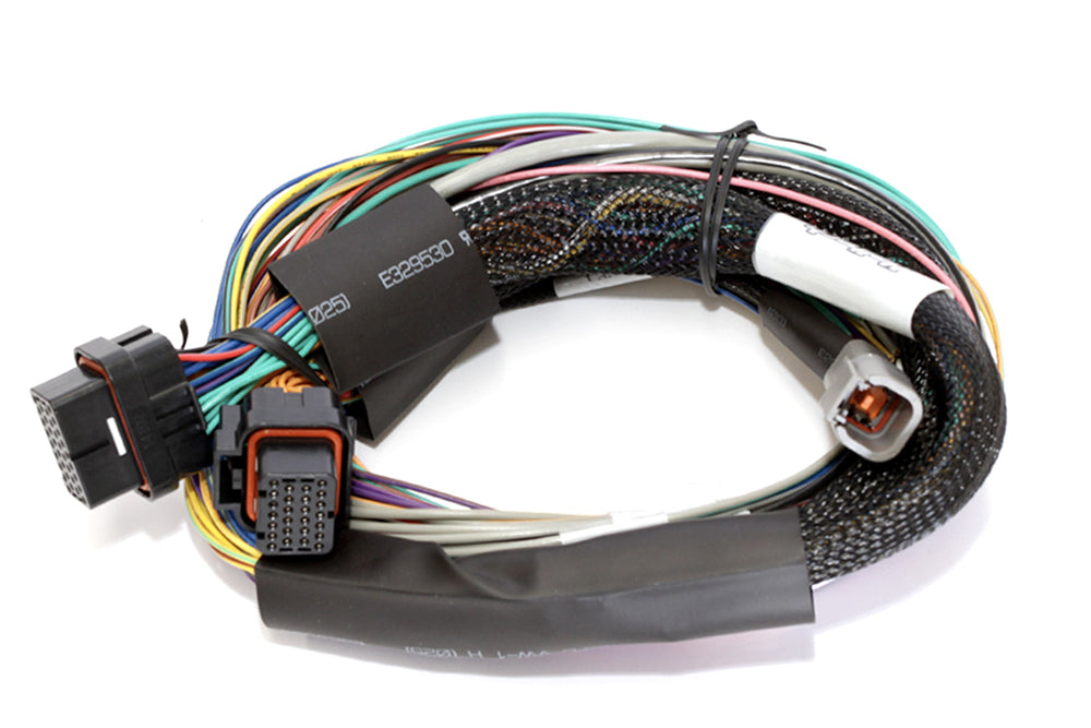 Haltech Elite 2500 with wiring harness kit