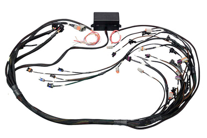 Haltech LS1 wiring harness