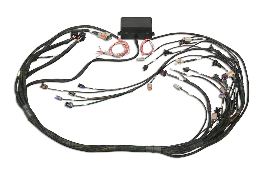 Haltech LS1 wiring harness