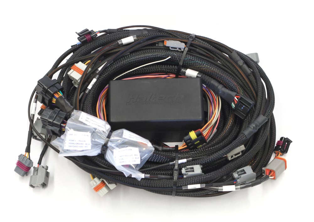 Haltech LS1 wiring harness