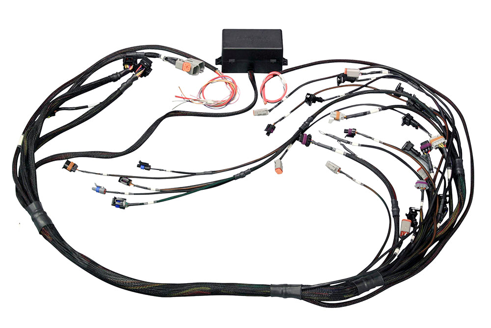 Haltech LS2 wiring harness