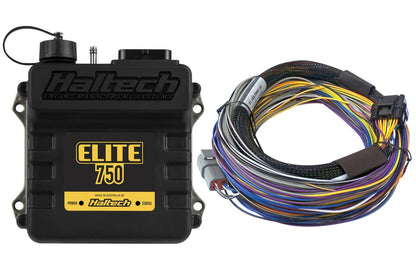 Haltech Elite 750 with wiring harness kit