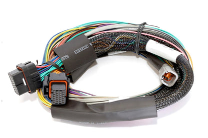 Haltech Elite 1500 with wiring harness kit