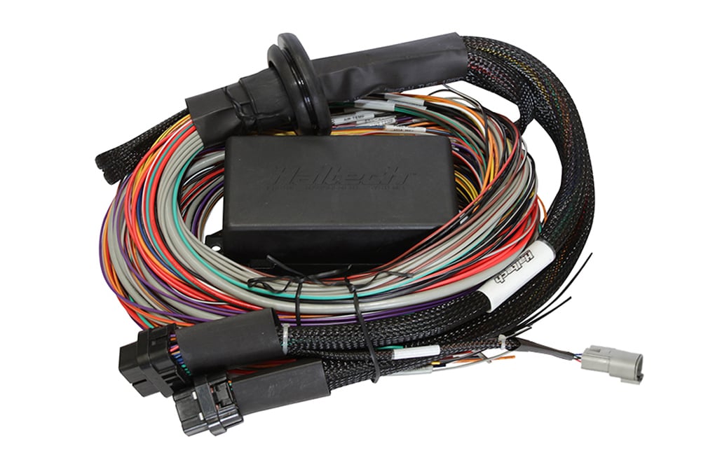 Haltech Elite 1500 with wiring harness kit