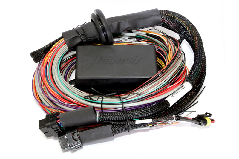 Haltech Elite 2500 with wiring harness kit