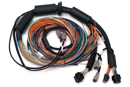 Haltech Wire-in harness