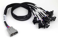 Nexus V8 Junior Timer (EV1) Injector Primary Breakout