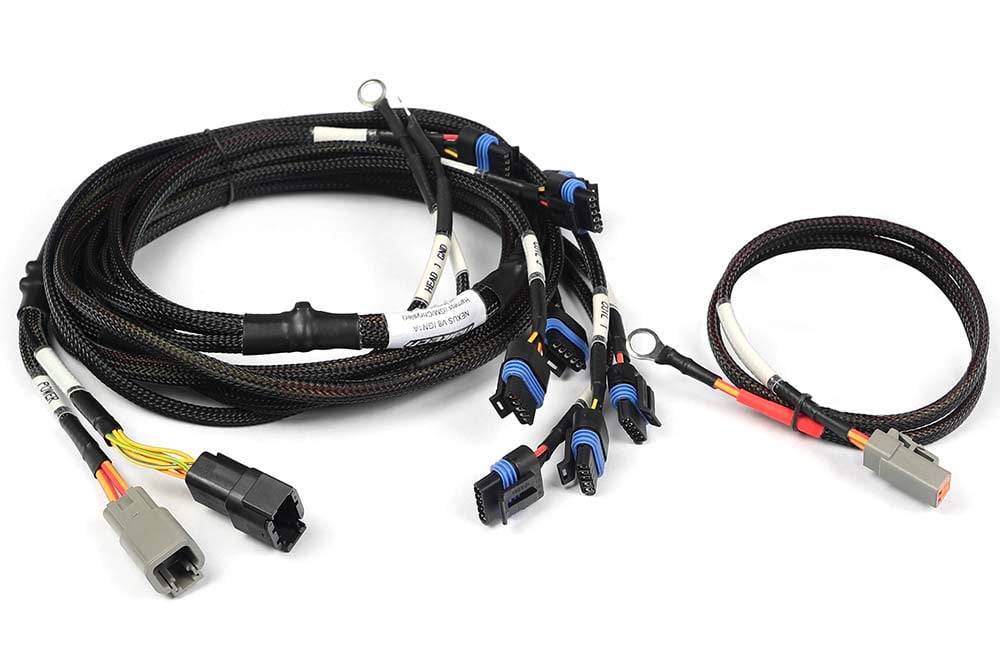 Haltech wiring harness