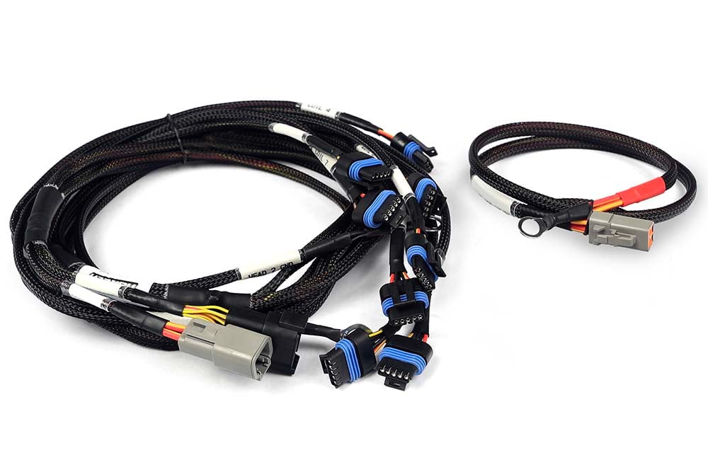 Haltech wiring harness