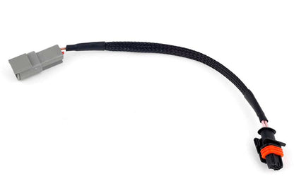 Haltech wiring harness