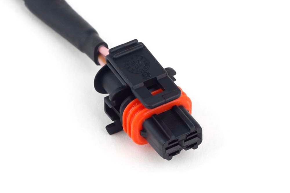 Haltech wiring harness