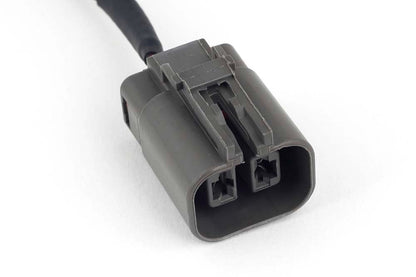 Haltech wiring harness