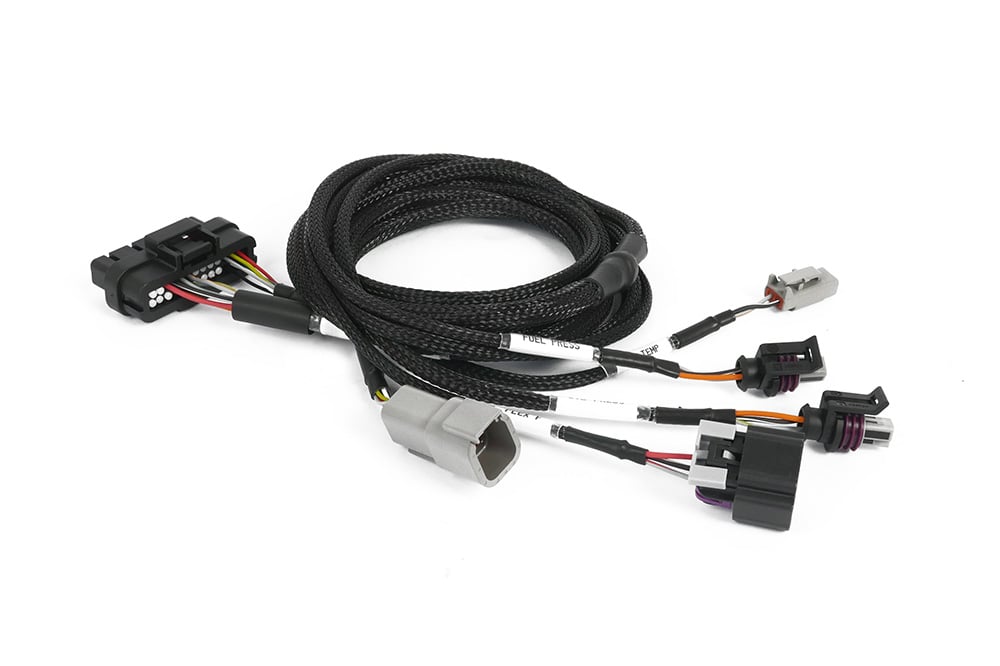 Haltech wiring harness