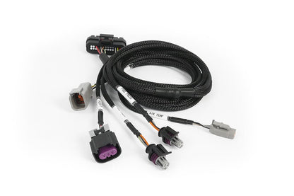 Haltech wiring harness