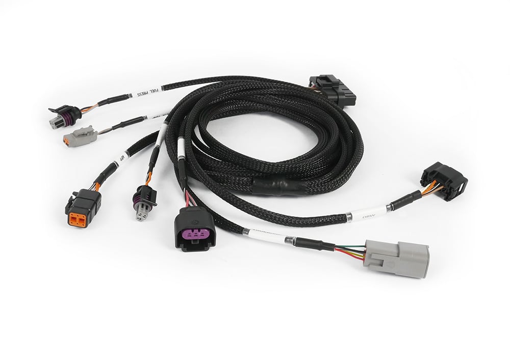 Haltech wiring harness