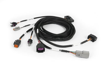 Haltech wiring harness