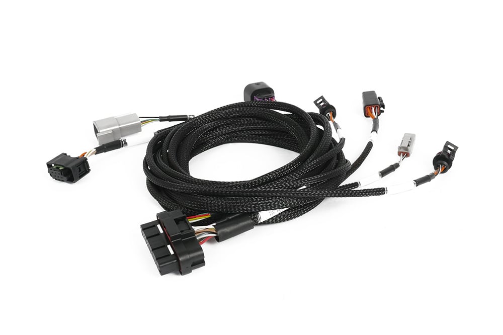 Haltech wiring harness