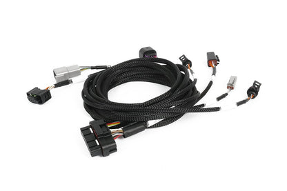 Haltech wiring harness
