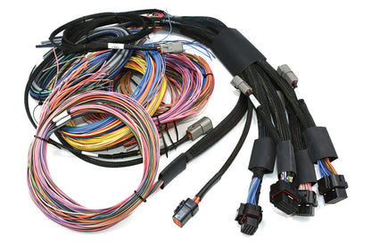 Haltech Nexus R5 with wiring harness kit