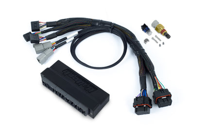 Haltech adaptor harness for S2000