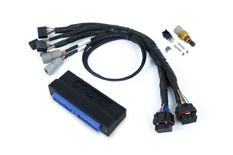 Haltech adaptor harness for S13