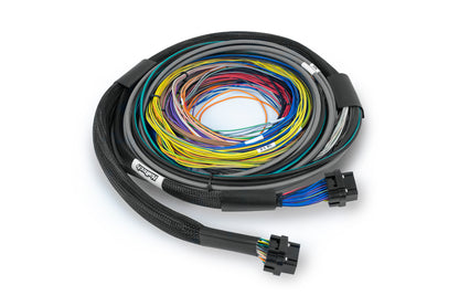 Haltech Nexus S3 with wiring harness kit